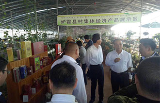 香港内部正版免费资料